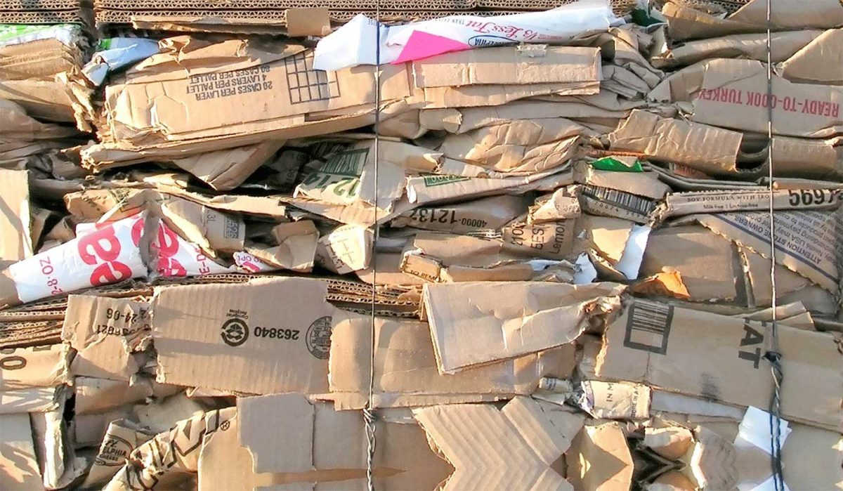  Cardboard  Paper Recycling  Cartwrights Waste Disposal 